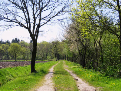 landwege-holtgast-ostfriesland