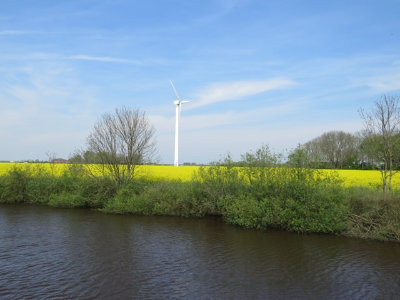 rapsfelder-carolinensiel