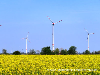 rapsfelder-windraeder-ostfriesland